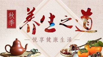 中國保健養生網正式上線轉拍網，開啟養生保健服務新篇章